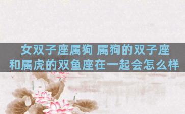 女双子座属狗 属狗的双子座和属虎的双鱼座在一起会怎么样